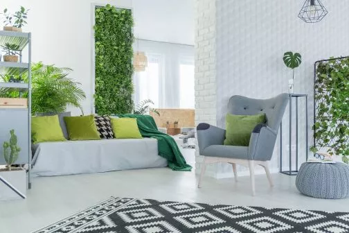 Ogród wertykalny w Twoim domu – jak samodzielnie stworzyć ściany z roślin?