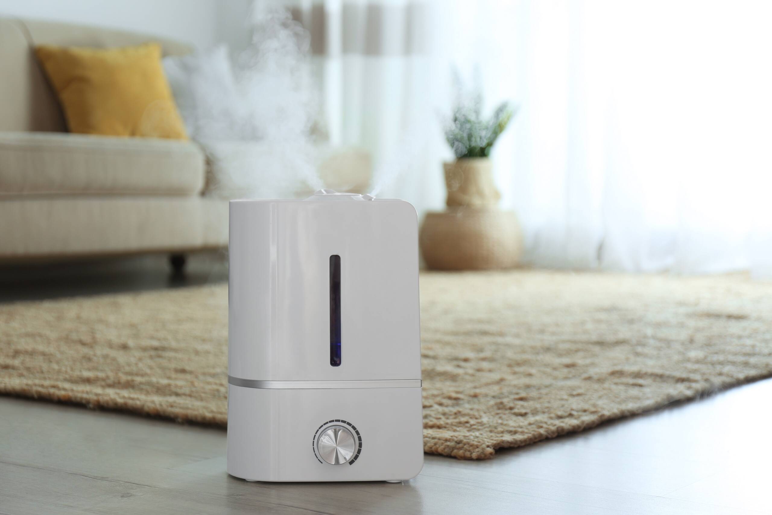 Nawilżanie powietrza w domu – czy i kiedy warto to robić oraz na co uważać?