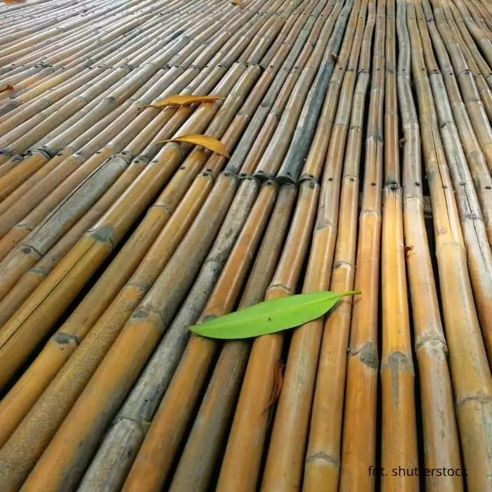 Podłoga bambusowa – w czym tkwi sekret jej rosnącej popularności?